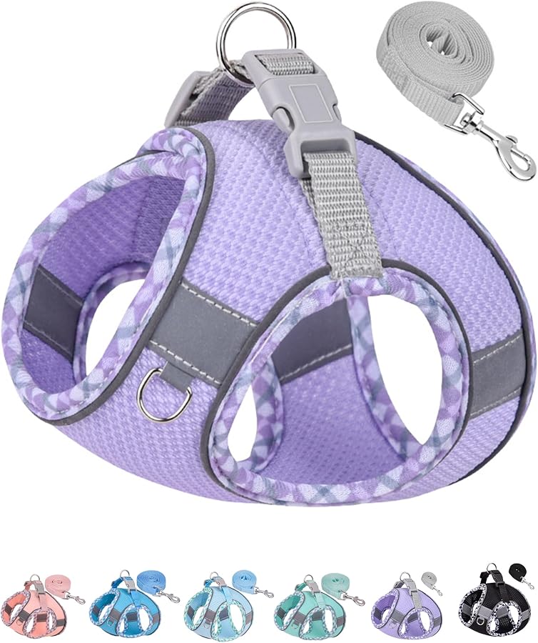 Petank Step in Dog Harness No Pull and Leash for Small Medium Dogs Cats.