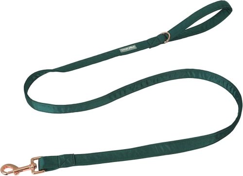 Lionet Paws Dog Leash - Silk Green Leash for Small Medium Large