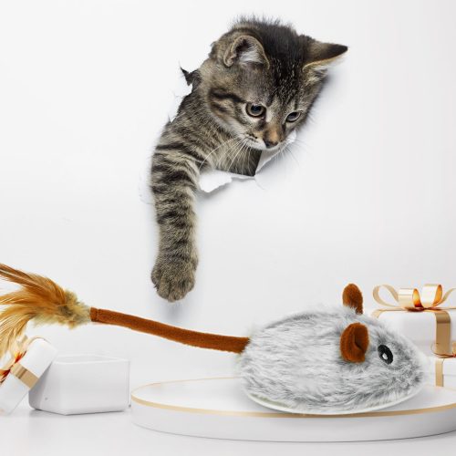 CrazyDeer Remote Control Mouse Cat Toy Bluetooth App Control Rechargeable