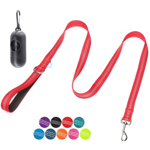 BAAPET 5 Feet Nylon Dog Leash with Triple Reflective Threads and